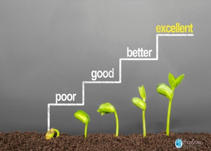 Mükemmeliyetçi kişiliği anlatan bir grafik