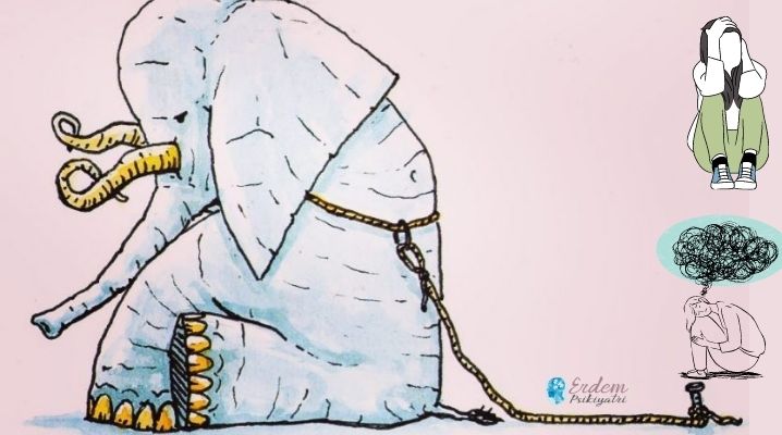 Öğrenilmiş çaresizlik deneyi olan bir fil ve ipe bağlı olması