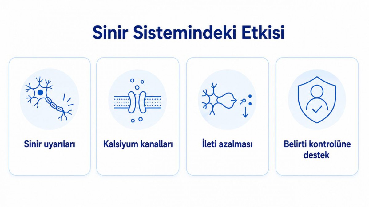 Pregabalinin sinir uyarıları ve kalsiyum kanalları üzerindeki etkisini gösteren sinir sistemi infografiği
